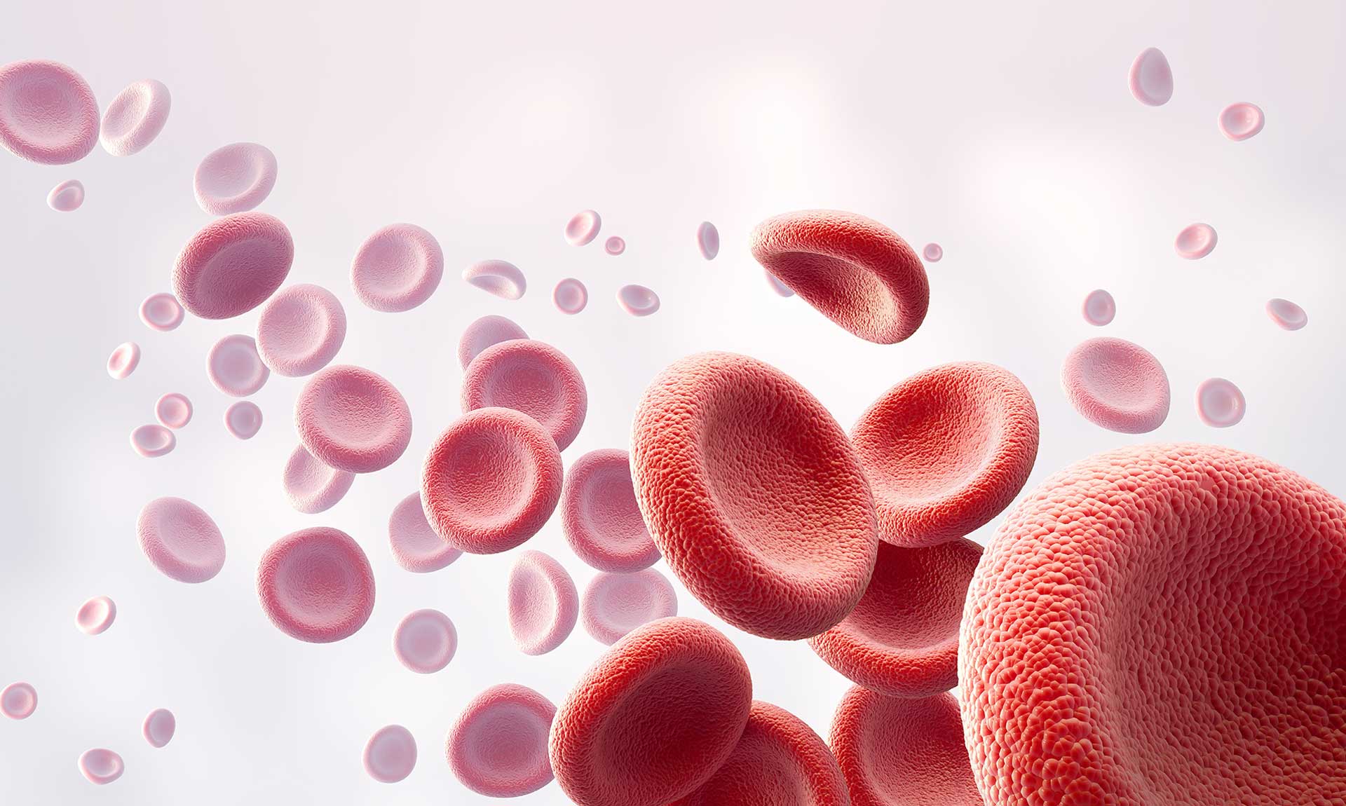 Blood screening workflow banner